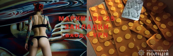 твердый Алексеевка