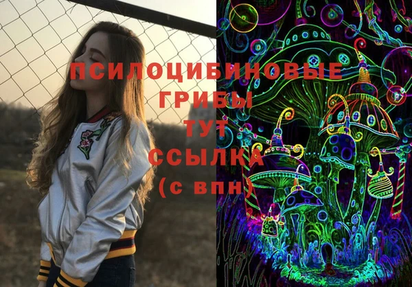 спиды Алзамай