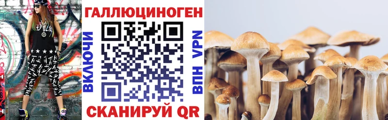 Псилоцибиновые грибы прущие грибы  блэк спрут ССЫЛКА  Тамбов  хочу наркоту 