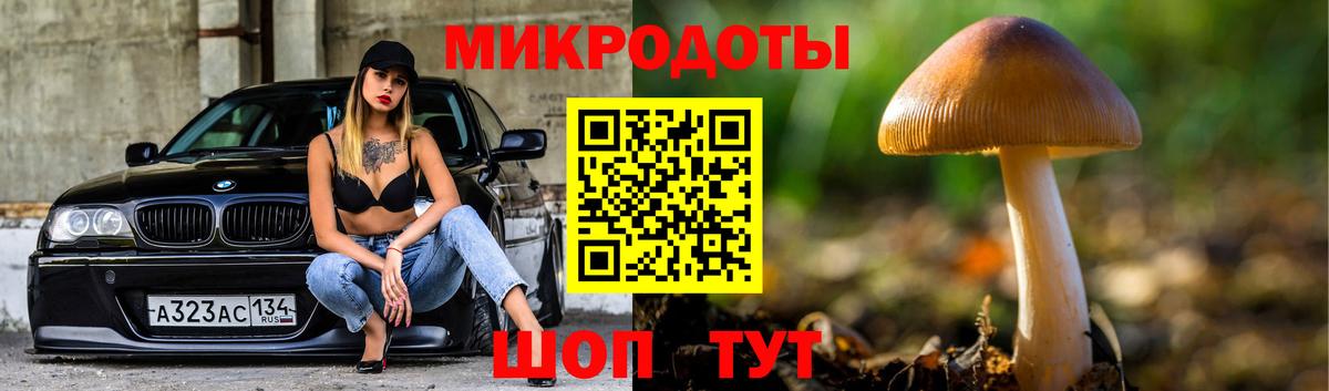 Псилоцибиновые грибы Cubensis  Галлюциногенные грибы Psilocybine cubensis  Вход с VPN  Тамбов 