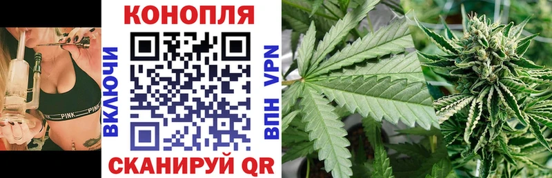 Каннабис гибрид  дарнет шоп  KRAKEN ТОР  Тамбов 